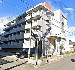 信開ウエラコート足羽