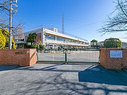 川口市里 1号地