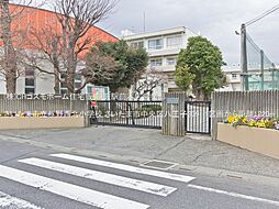 さいたま市中央区八王子309　1区画　1区画