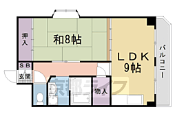 京都市右京区嵯峨明星町