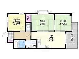 ココチフォレストｒｓ