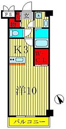 柏市小青田１丁目