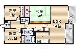 アコール隆豊