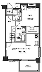 コンフォリア西早稲田 505