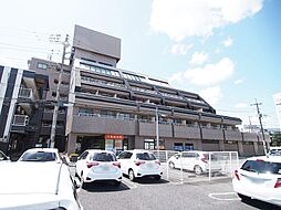 エルドラド文 309