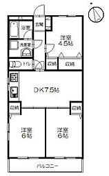 ブランドール湘南 301
