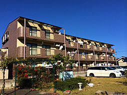 プレミールＴＹ ２C