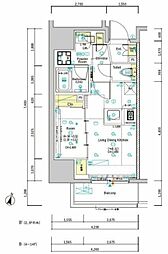 ＳＹＦＯＲＭＥ　ＯＭＩＹＡ