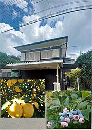 狭山市土地（古家有）