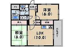 サクシード甲子園