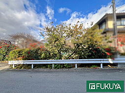 京都市伏見区桃山町三河の土地