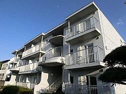 カーサクレモナ 103