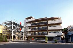 REILIS YOKOHAMA-IDOGAYA AZ 204
