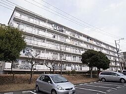 村上団地2街区38号棟