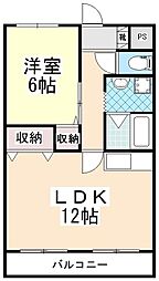 ソフィアケートヨコカワ