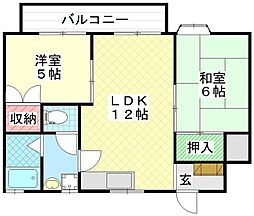 ハイツオネシス 203