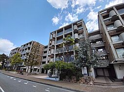 チェリービュウ芦屋川