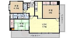 御影クラリティフラット