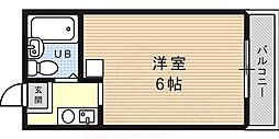 メゾンニューレーダー