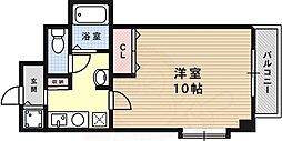 アイビスパーク