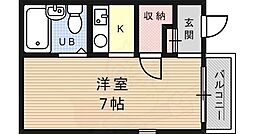 セイユーミカゲ