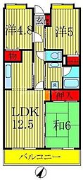 柏市新富町１丁目