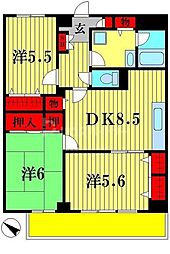 パインツリーコート