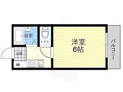 コウヨウ姫里