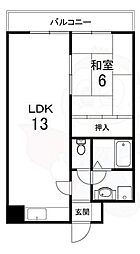 コーポポルスター