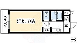 ゴールドクレスト