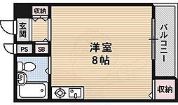 パレHSP