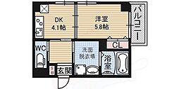 クリプトメリア京都六条
