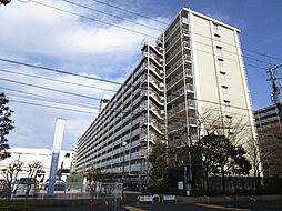 市川パークハイツC棟 216