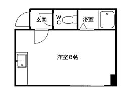 コスモス菊水 00601