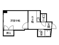 コスモス菊水 00805