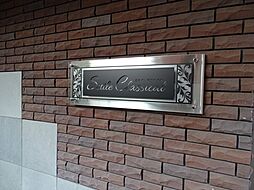 セトルクラシカル 00201