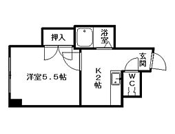 コスモス菊水 00806