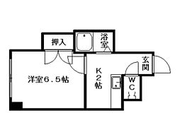 コスモス菊水 00703
