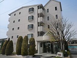 ソービドゥモン