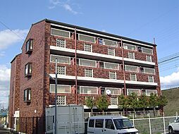 城陽市枇杷庄島ノ宮