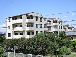 城陽市寺田中大小