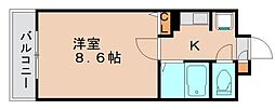 福岡市東区箱崎1丁目