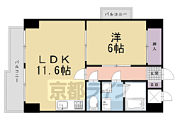 ＣＯＲＴ　ＵＥＳＨＯ 502