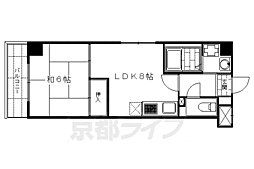 クレマチス28 301