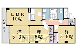 サンシャイン中川 501