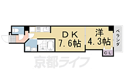 アメイジング桂 205