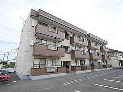 サンブルージュ 303