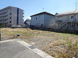 牛島土地