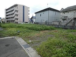 牛島土地