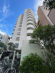 レピドール福田II